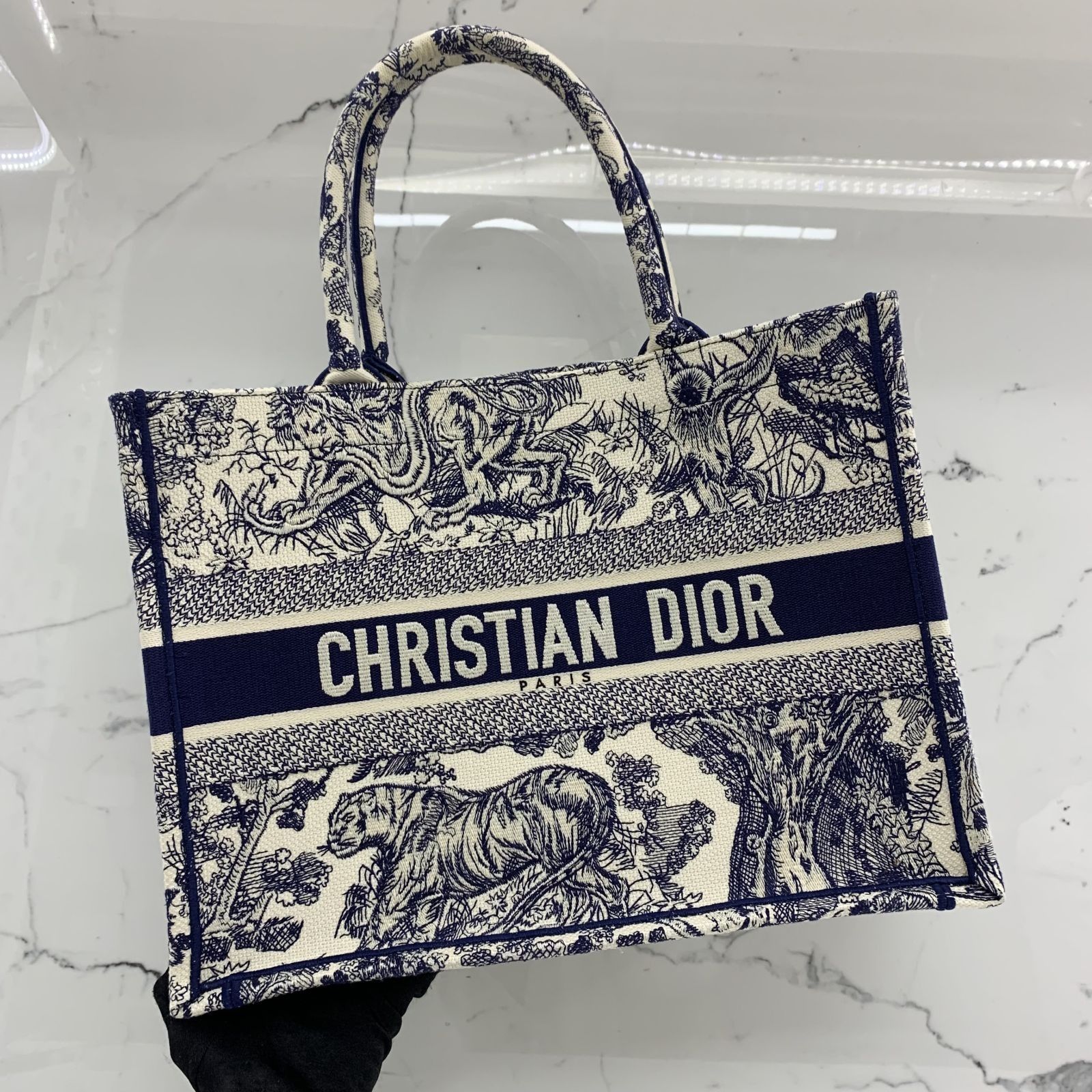 Christian dior 2025 canvas