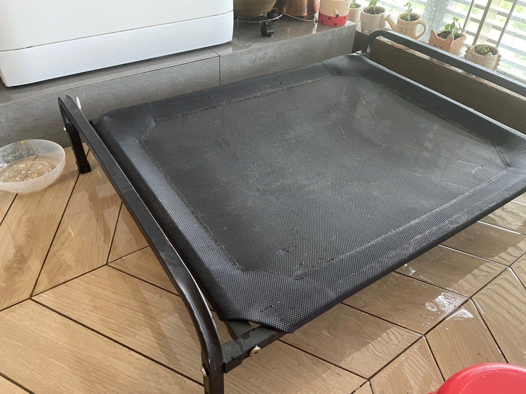 Elevated Mesh Dog Bed Pet Supplies Homes Other Pet Accessories