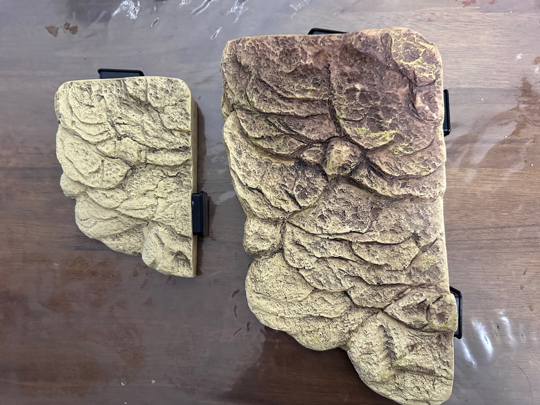 [Exo Terra] Turtle floating bank S/M, Pet Supplies, Homes & Other Pet ...