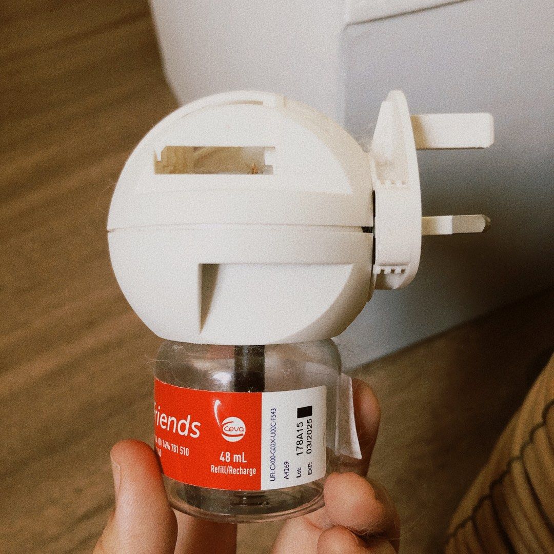 Feliway diffuser sale plug only