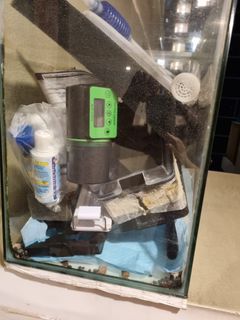 (Category: ) located in . Submitted by 584512 (Listing ID 1274047259, Image 1). Description: .