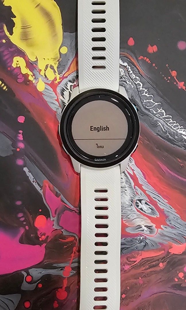 Garmin 745 whitestone top
