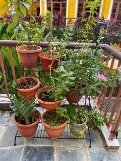 (Category: ) located in . Submitted by meerawatts (Listing ID 1273947568, Image 1). Description: .