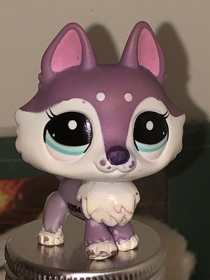 Lps purple husky deals