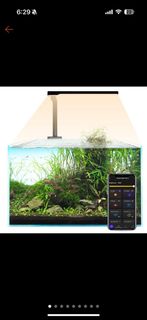 (Category: ) located in . Submitted by pricetosell15 (Listing ID 1274260853, Image 1). Description: .