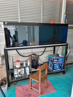 (Category: ) located in . Submitted by activefishsupply (Listing ID 1274181646, Image 1). Description: .