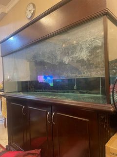 (Category: ) located in . Submitted by cekara123 (Listing ID 1274175573, Image 1). Description: .