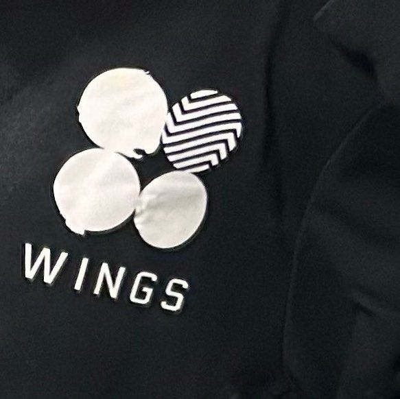 BTS wings sweatshirt T