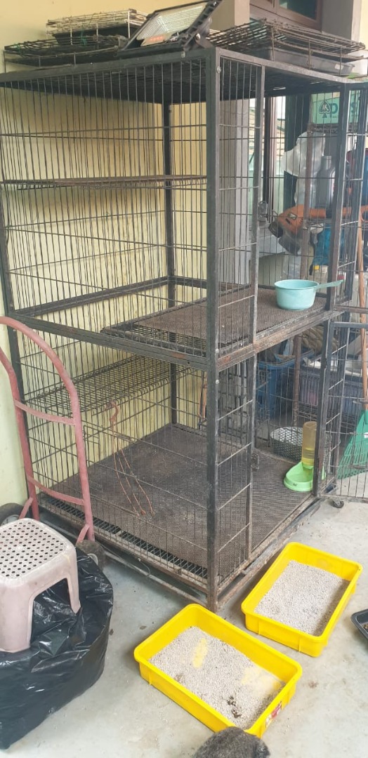 Double decker cat cage best sale