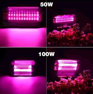 LED Grow Light 50w | Full Spectrum Plant Lighting | plant light