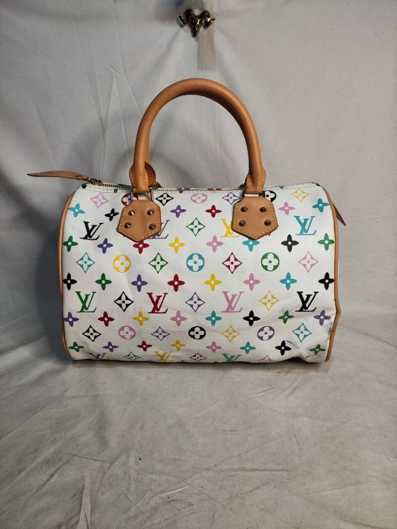 Lv multicolor 2025 bag