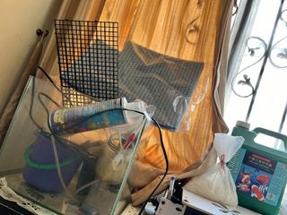 (Category: ) located in . Submitted by weirdnwacky (Listing ID 1274166104, Image 1). Description: .