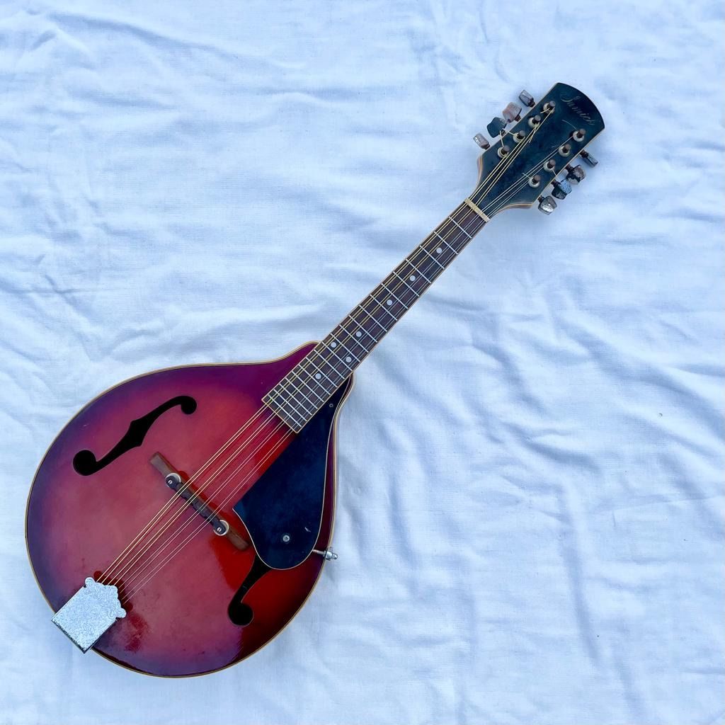 Korean mandolin best sale