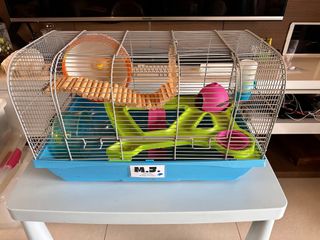 (Category: ) located in . Submitted by green.froggy (Listing ID 1274275187, Image 1). Description: .