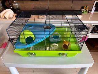 (Category: ) located in . Submitted by green.froggy (Listing ID 1274277497, Image 1). Description: .