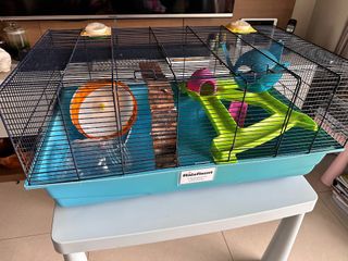 (Category: ) located in . Submitted by green.froggy (Listing ID 1274271037, Image 1). Description: .