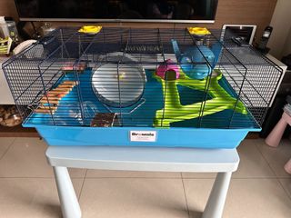 (Category: ) located in . Submitted by green.froggy (Listing ID 1274272108, Image 1). Description: .