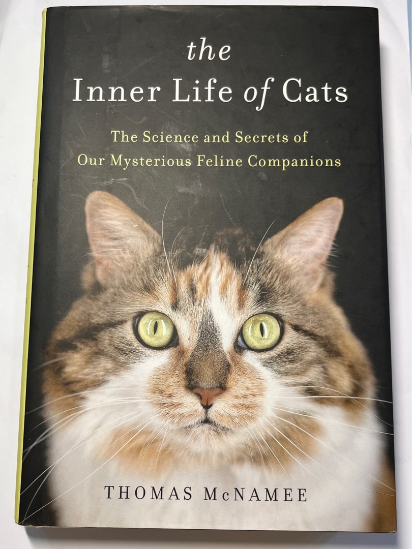 The inner life of cats on sale