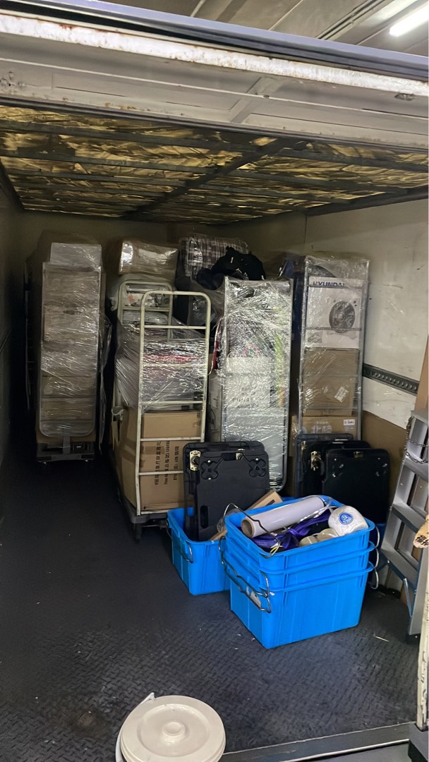 Cat Elder Brother Moving  Free Phone Quote62859979754498112