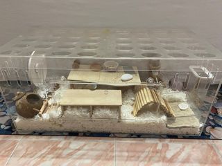 (Category: ) located in . Submitted by uwuoo (Listing ID 1274557935, Image 1). Description: .