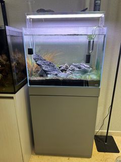 (Category: ) located in . Submitted by tjy55 (Listing ID 1274438010, Image 1). Description: .