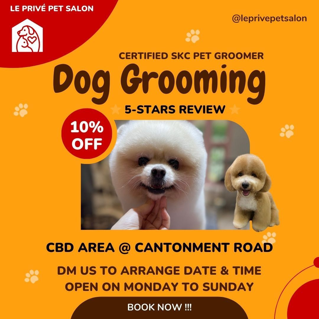 Groomer open sunday hot sale