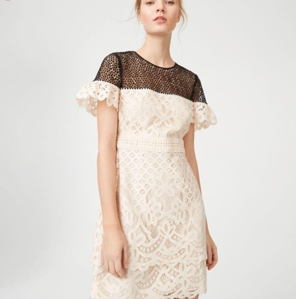 Club monaco lace dress cheap