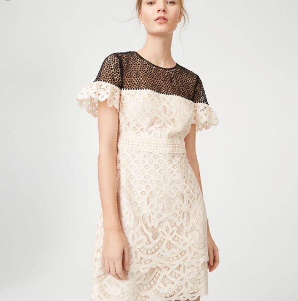 Club monaco lace new arrivals dress