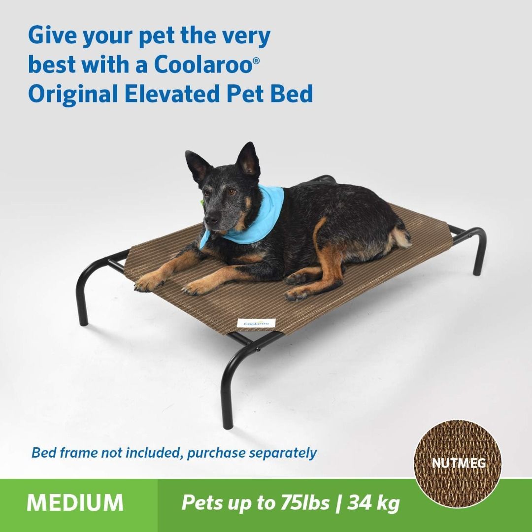 Coolaroo Replacement Cover The Original Elevated Pet Bed by