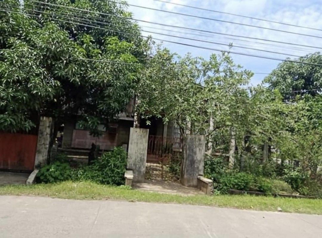 Corner House and Lot for Sale in Tiaong, Quezon, Property, For Sale, House & Lot on Carousell