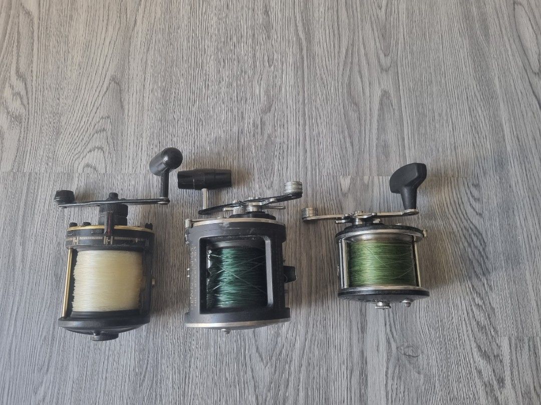 Daiwa & Penn reel, Sports Equipment, Fishing on Carousell