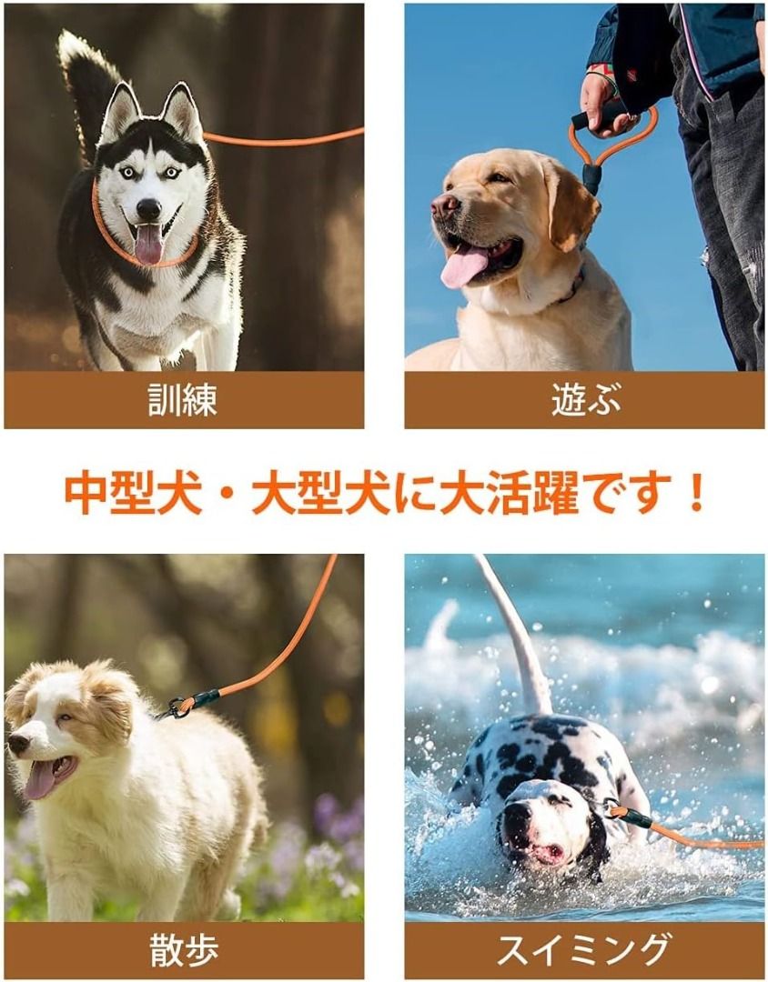 Backyard dog leash online