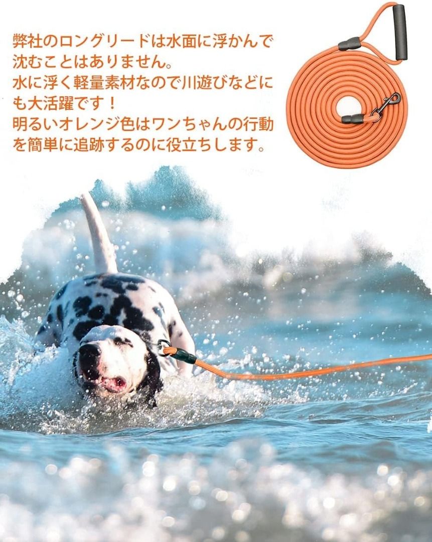 30 ft hotsell dog training lead