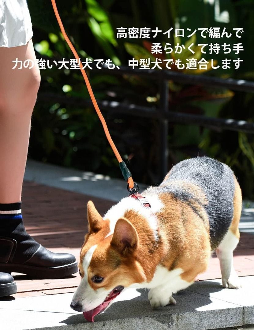 30 ft nylon dog leash hot sale