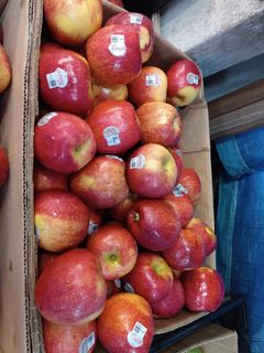 (Category: ) located in . Submitted by yanfruits (Listing ID 1274426339, Image 1). Description: .