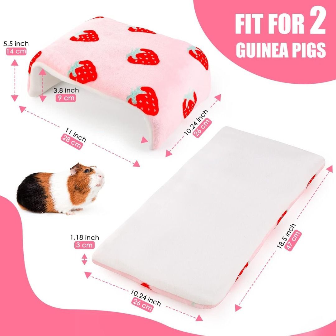 Guinea pig cage on sale accessories