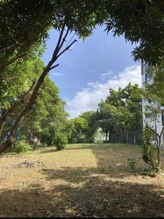 For Sale: Commercial Lot in Manoc-manoc, Boracay Malay Aklan, P45.27M