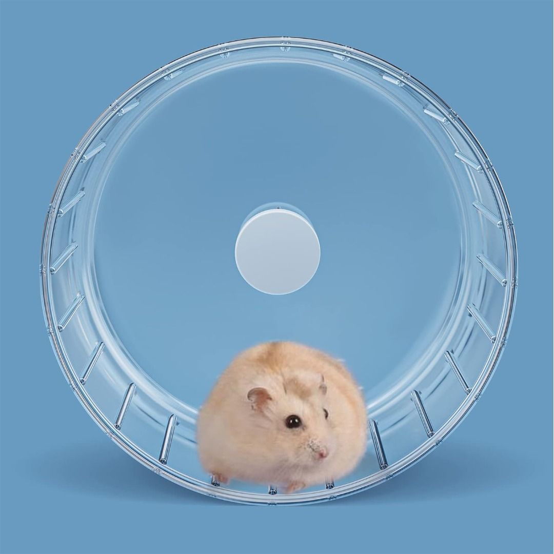 Hamster Wheel Silent 5.5in Hamster Exercise Wheels Basic Quiet