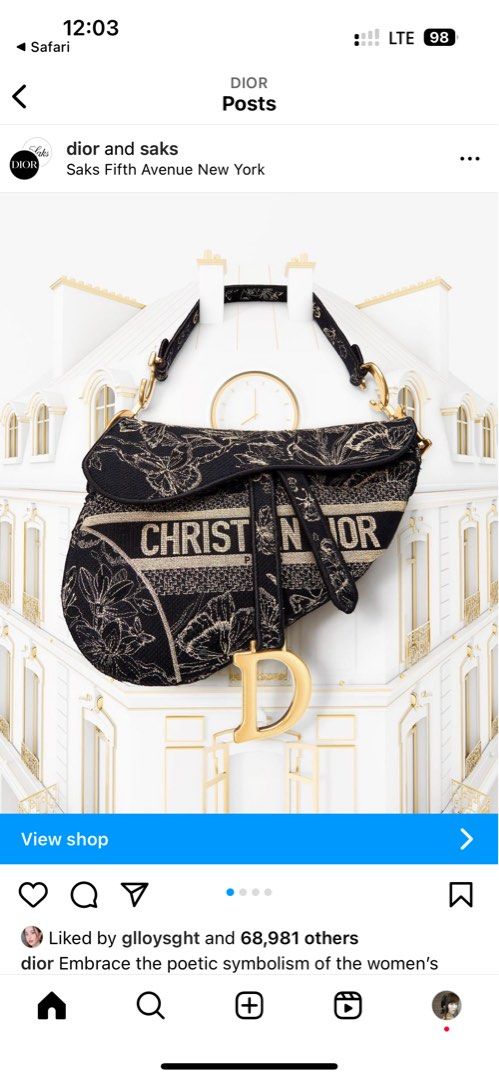 Dior bags 2025 saks