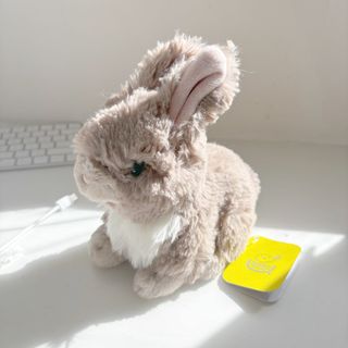 （分類：）位於 。 由 szbunny 提交（商品編號 1274474009，圖片 1）。簡介： 。