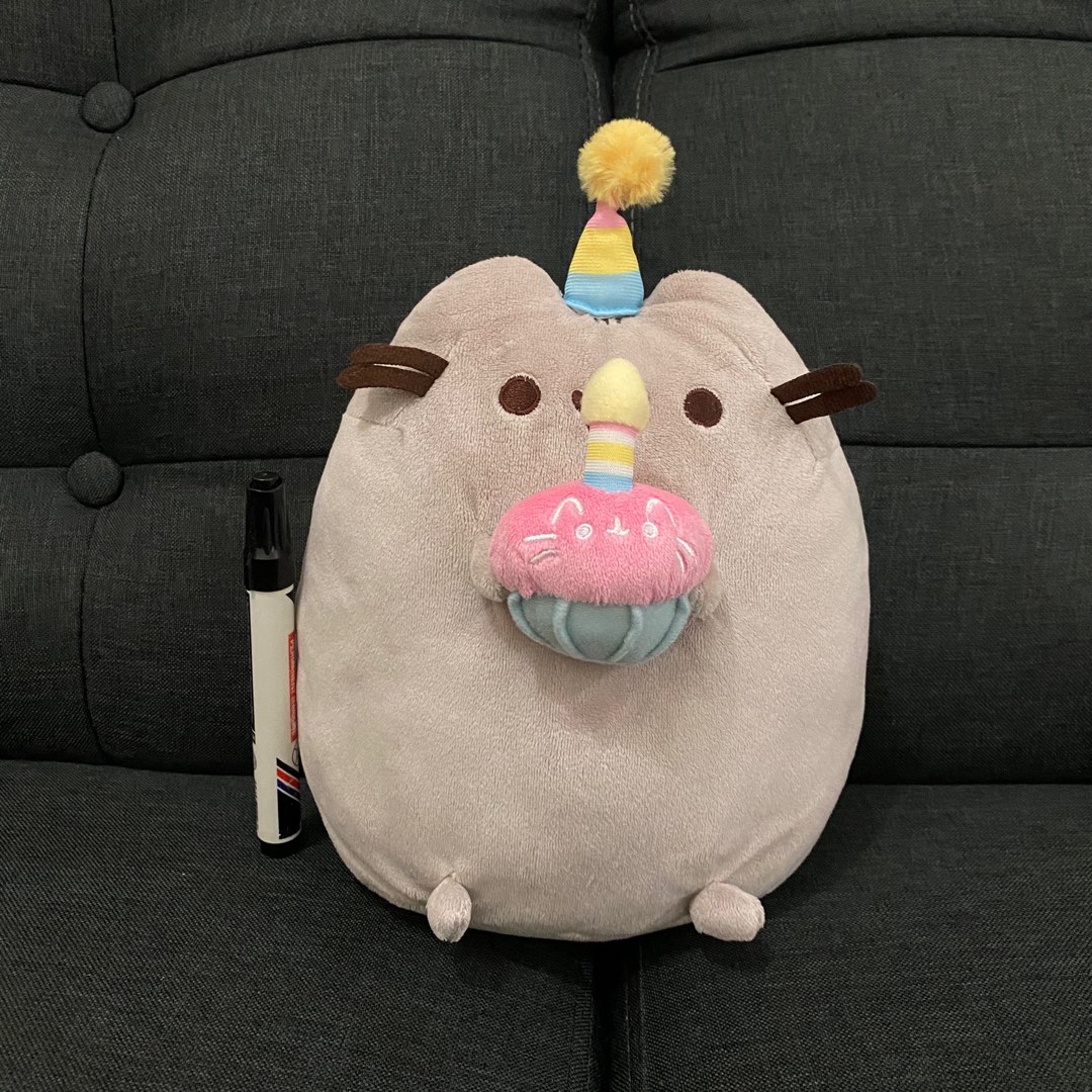 Birthday pusheen plush hotsell