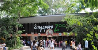 (Category: ) located in . Submitted by gamelobang (Listing ID 1274459518, Image 1). Description: .