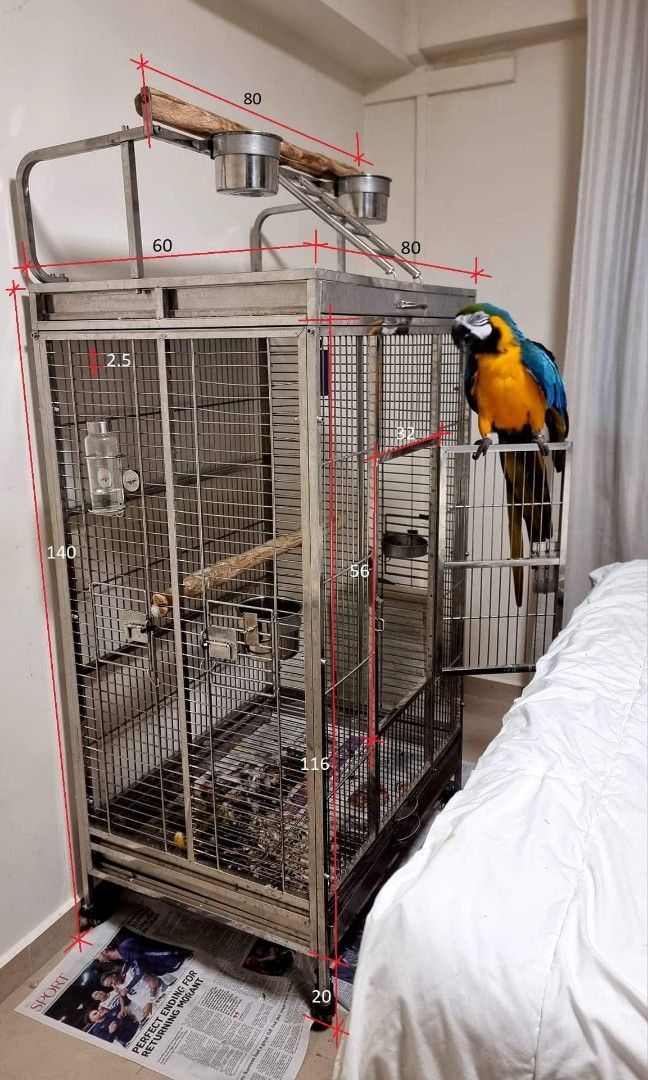 Macaw Parrot Cages Cheap