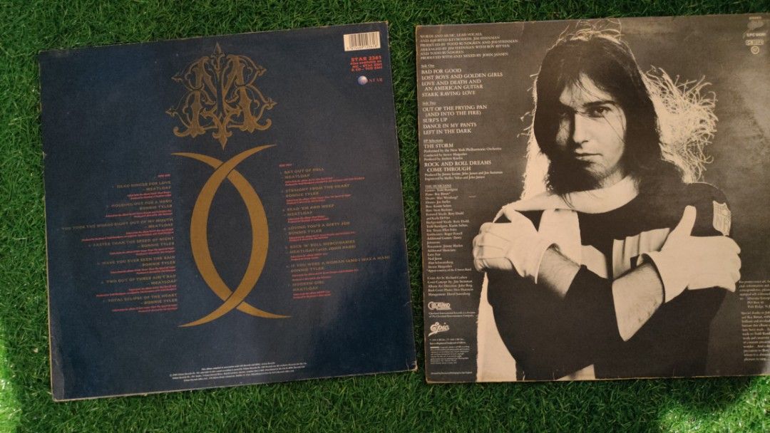 VINYL RECORDS BONNIE TYLER & MEATLOAF / JIM STEINMAN, Hobbies & Toys