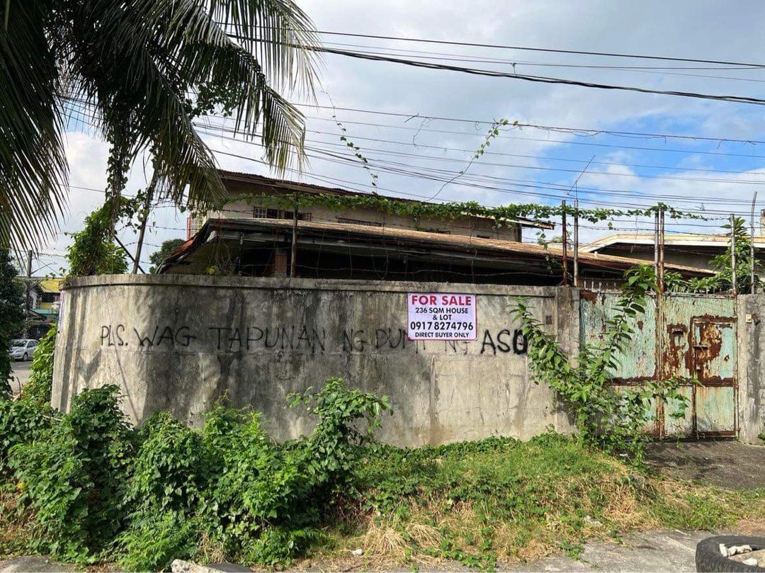 466 sqm House and lot at ACF Homes San Bartolome Novaliches Quezon city