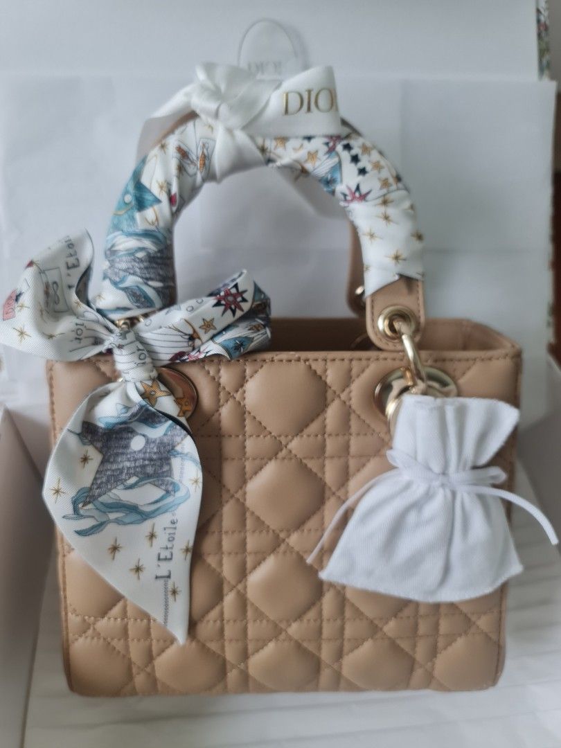 Classic Dior Lady Small Luxury Bags Wallets on Carousell