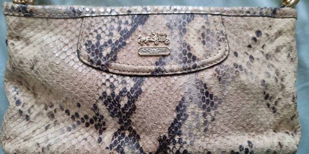 Coach leather python style, Women's Fashion, Bags & Wallets, Purses ...