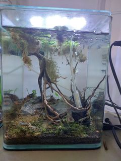 (Category: ) located in . Submitted by casjach (Listing ID 1274828115, Image 1). Description: .