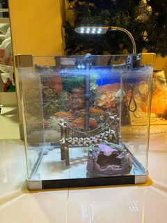 (Category: ) located in . Submitted by faith78 (Listing ID 1274802964, Image 1). Description: .