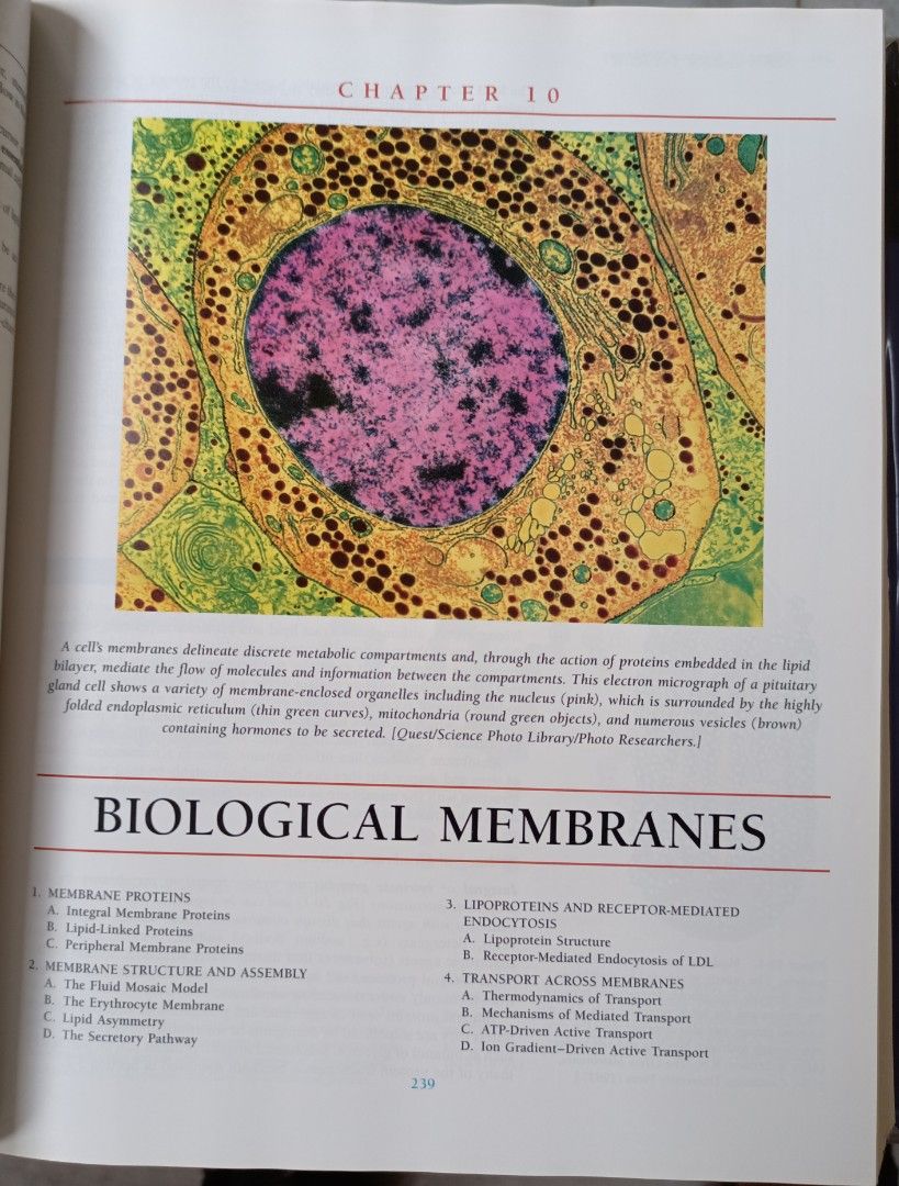Fundamentals Of Biochemistry Announcements On Carousell Fundamentals Of Biochemistry Announcements On Carousell